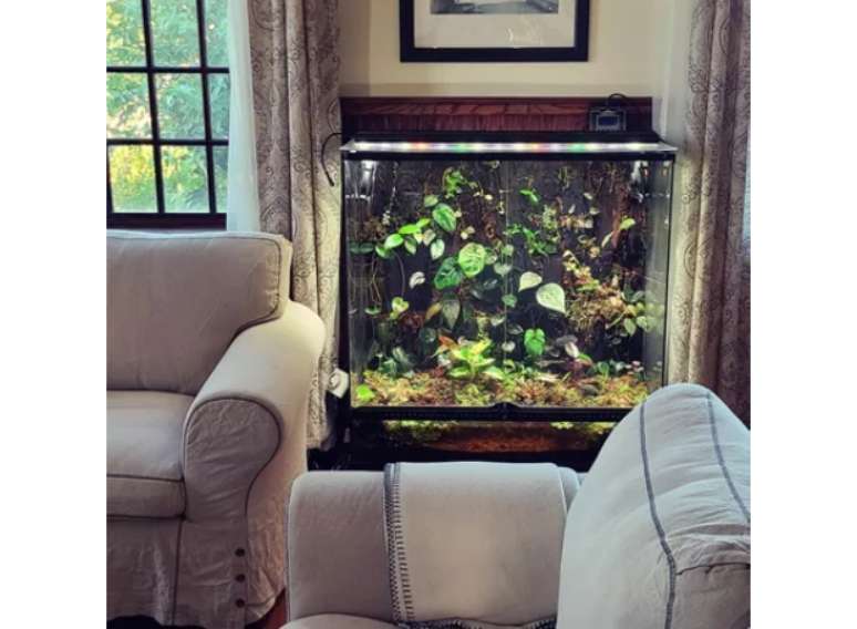 Aqu&aacute;rio como estufa