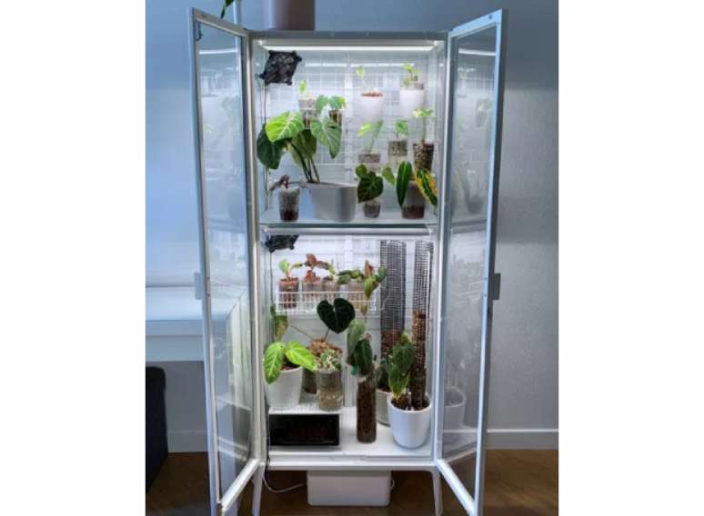 Estufa em arm&aacute;rio de vidro