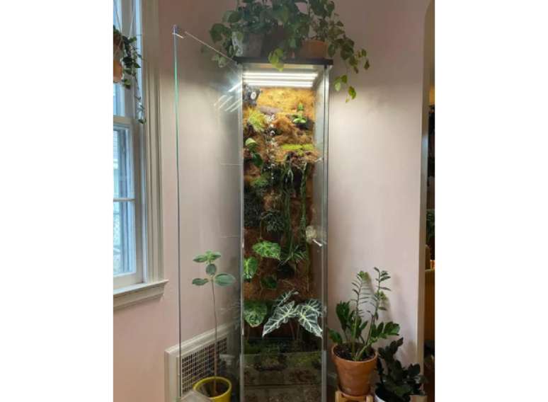 Meio arm&aacute;rio, meio estufa