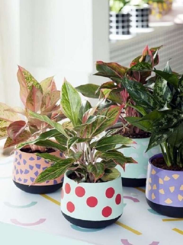 22. Cachepot para plantas colorido &ndash; Foto Homify