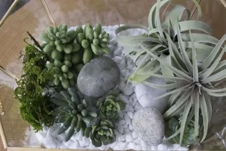 Arm&aacute;rios da IKEA de diferentes alturas como estufa