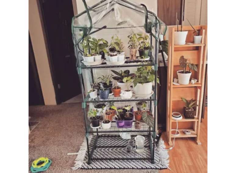 Prateleiras que servem como estufa interna