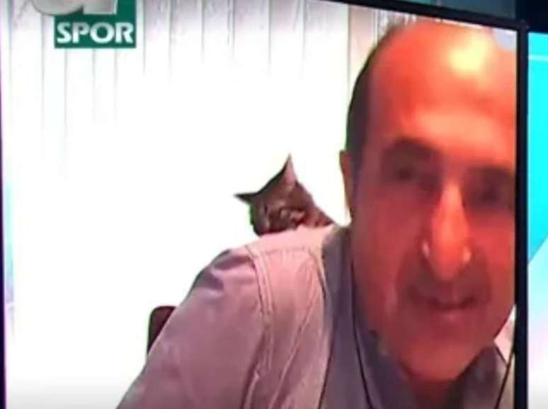 O comentarista esportivo Huseyin Ozkok participou de um programa por vídeochamada e foi surpreendido por um gatinho subindo em suas costas