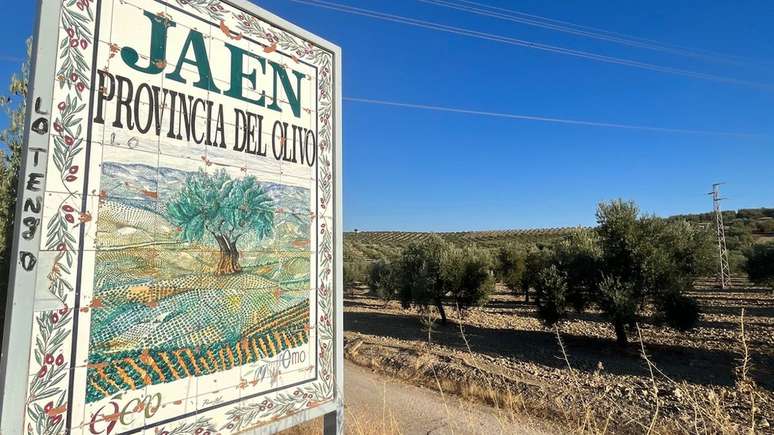 Província de Jaén produz metade de todo o azeite da Espanha