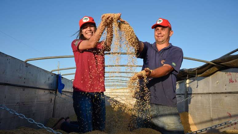 MST se destaca na produção do grão orgânico no país