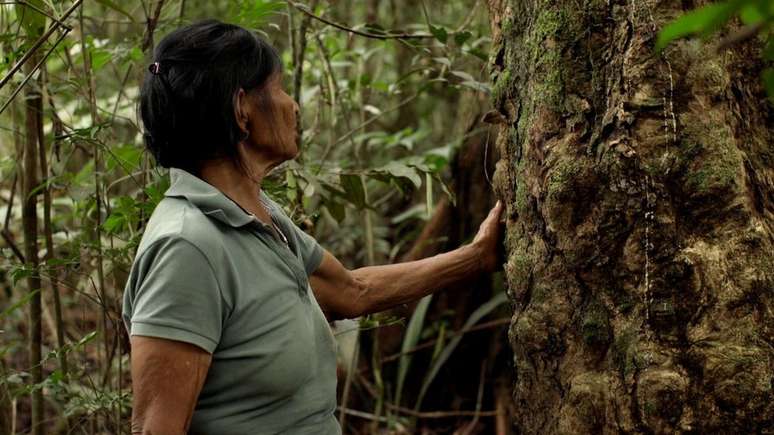 Durante mais de 30 anos, a indústria da borracha escravizou povos indígenas da Amazônia até serem quase dizimados