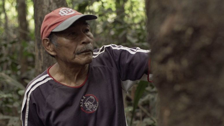 Cacique Calixto Kuiru mostra cicatrizes no tronco de uma seringueira