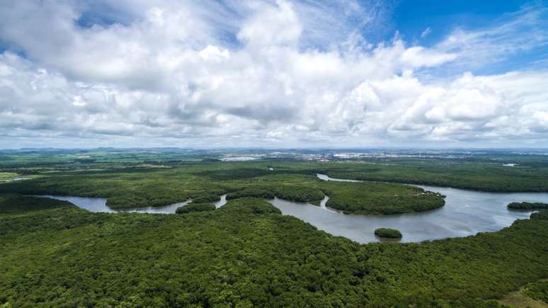 Amazônia