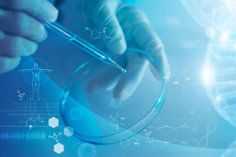 A medicina ortomolecular ajuda a reequilibrar o organismo 