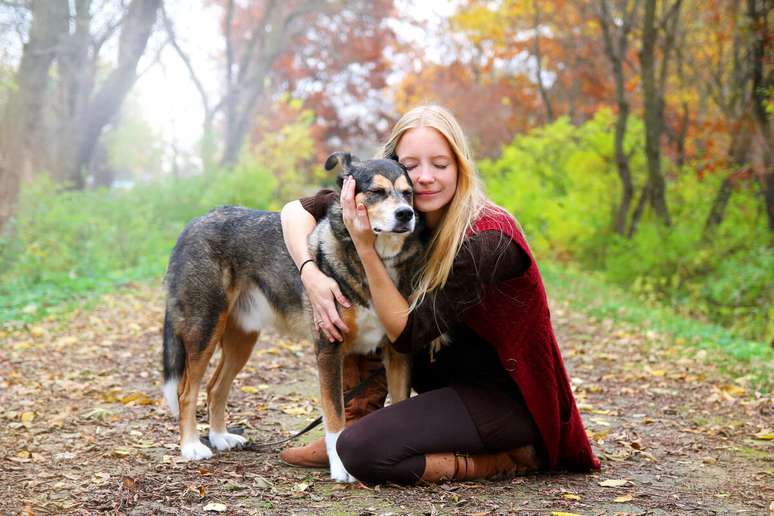 Os c&atilde;es idosos necessitam tamb&eacute;m de carinho e aten&ccedil;&atilde;o 