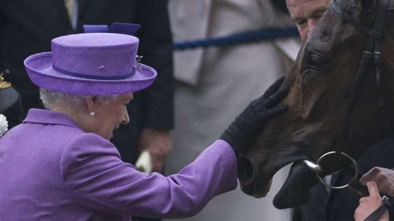 Estimate foi um dos cavalos mais vitoriosos da rainha nos últimos anos de sua vida