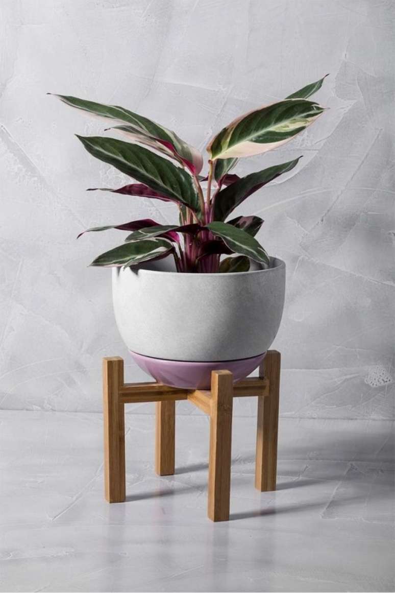 32. Planta artificial para sala de estar com suporte de madeira – Foto Casa Mind
