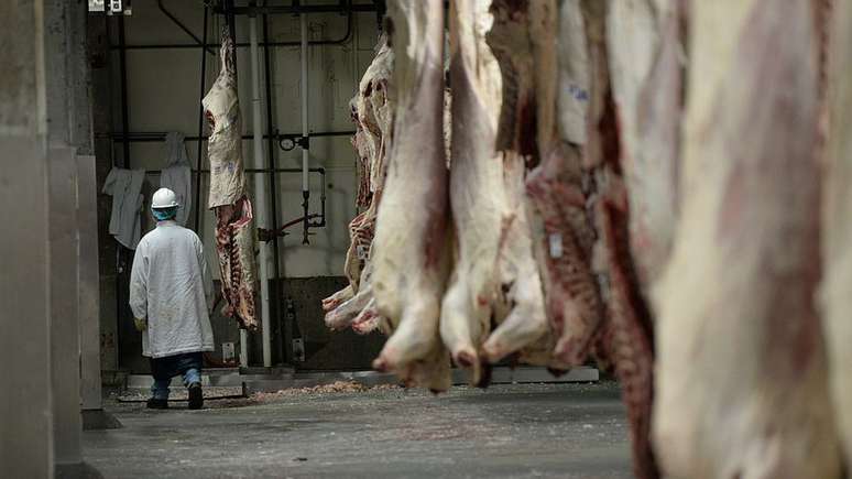 Tyson, JBS, Marfrig e Seaboard s&atilde;o as grandes empresas processadoras de carne