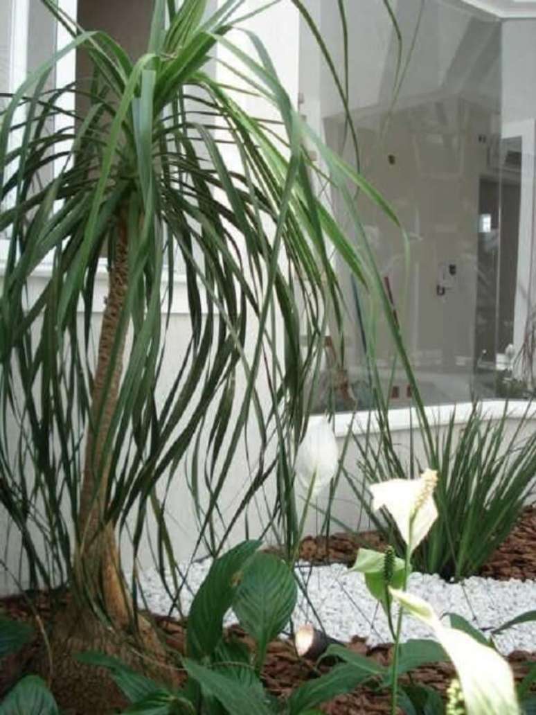 28. Canteiro decorado com pedra branca para jardim. Projeto de Carla Dadazio