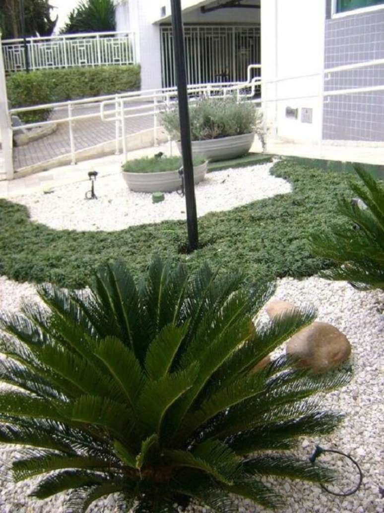 31. Grama preta e pedra branca para jardim. Projeto de MC3 Arquitetura