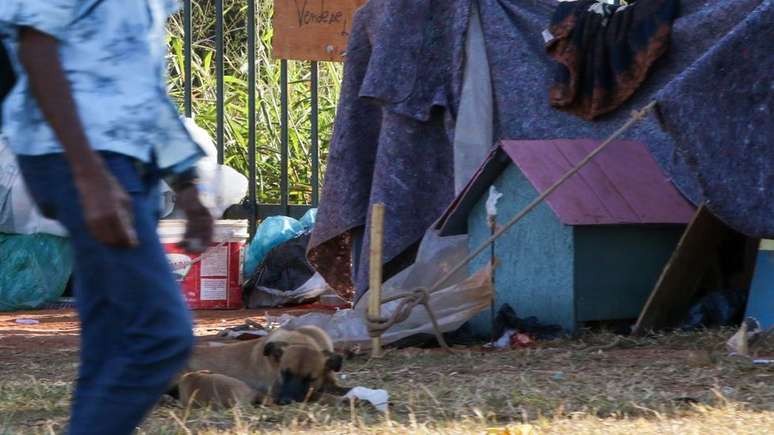 Caso identifiquem uma situa&ccedil;&atilde;o de abandono, agentes sociais podem inclusive acionar a Justi&ccedil;a