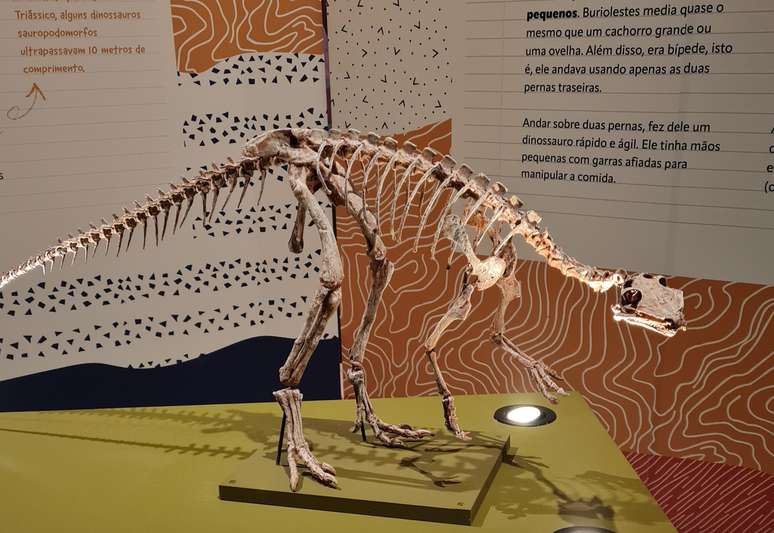 Buriolestes schultzi é o mais antigo dinossauro da Terra