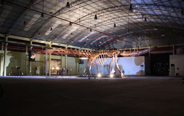 A montagem do esqueleto do Patagotitan levou seis dias. Na foto, o dinossauro exposto no museu da Patagônia