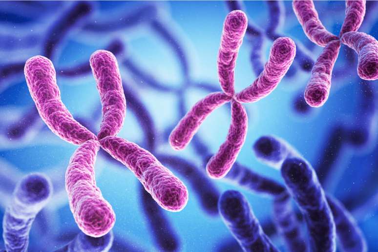 Produção de cromossomos também é afetada pela idade 