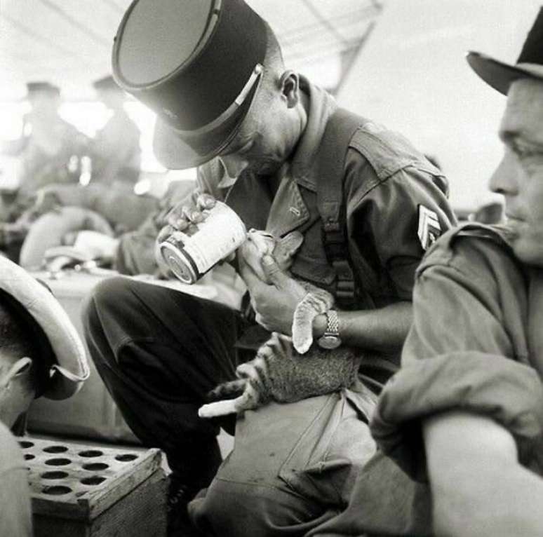 Soldado alimentando uma gatinha na Indochina, em 1956