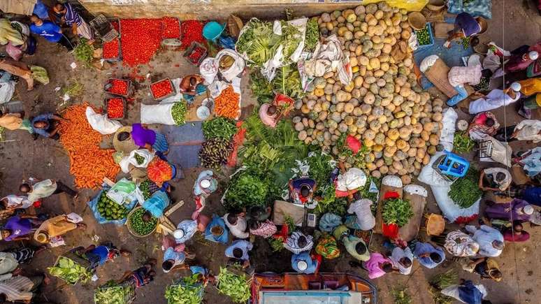 Hoje, 38% da superfície terrestre da Terra é usada para cultivar alimentos ou outros produtos para humanos