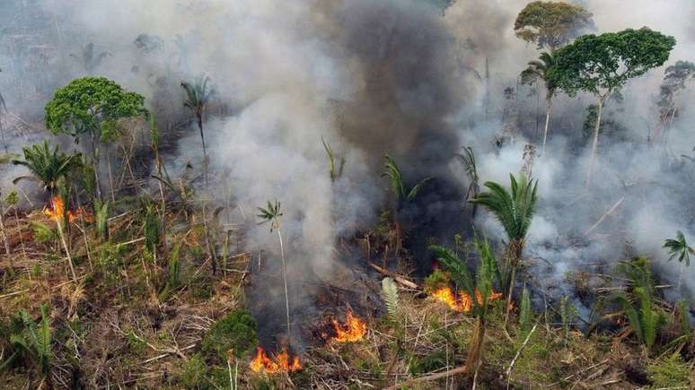 Inpe indica que o n&uacute;mero de queimadas na Amaz&ocirc;nia j&aacute; &eacute; o maior desde 2010