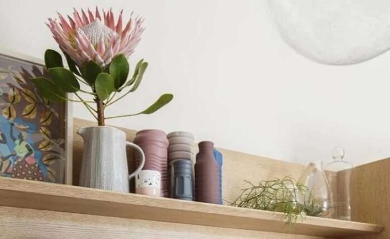 22. As proteas apresentam uma beleza marcante. Fonte: Maurício Arruda