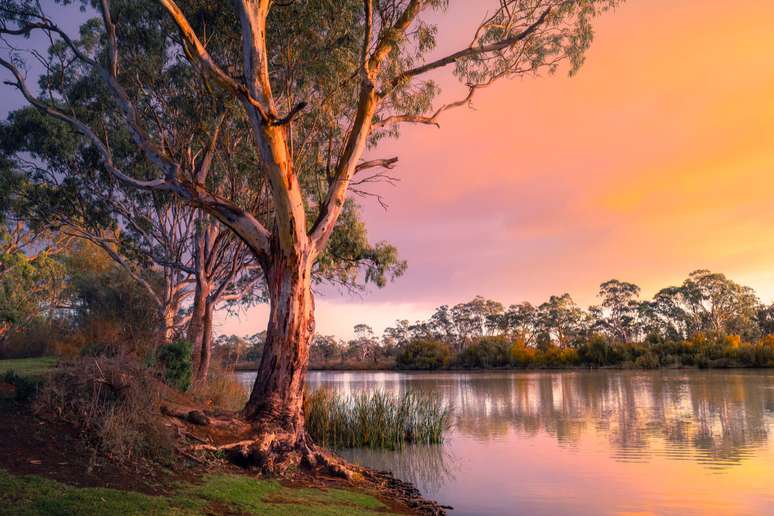 Rio Murray na Austr&aacute;lia 