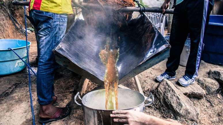 Prepara&ccedil;&atilde;o do ch&aacute; de ayahuasca na Amaz&ocirc;nia