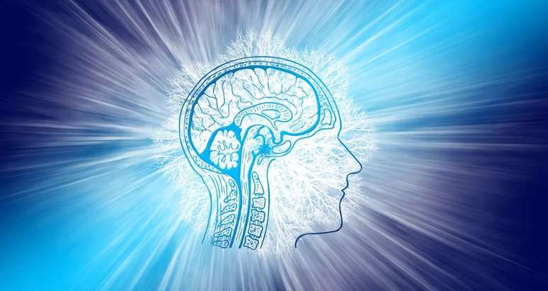 Proteínas cerebrais suspeitas de ativar memórias de medo em excesso, que causam ansiedade, foram estudadas por cientistas suecos (Imagem: Gerd Altmann/Pixabay)