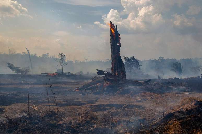Enquanto o Brasil acelerou a devastação da Amazônia, a pauta do aquecimento global se tornou prioritária nos EUA e na Europa Ocidental