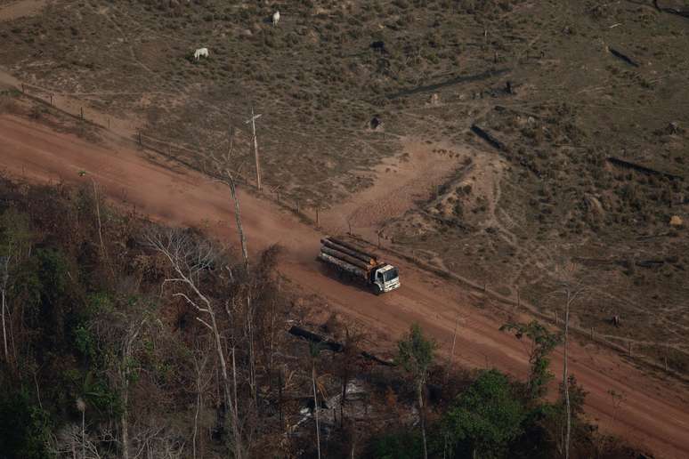 Exploração de madeira é um dos quatro agentes do desmatamento na Amazônia 