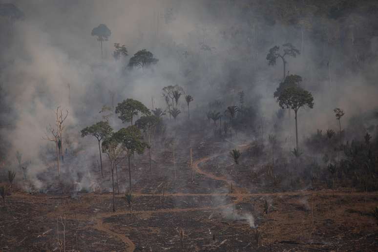 Atividade Clima e Justica Porto Velho. 14 de setembro de 2022. Na foto sobrevoo na regiao AMACRO com ativistas e convidados. Foto: Bruno Kelly.