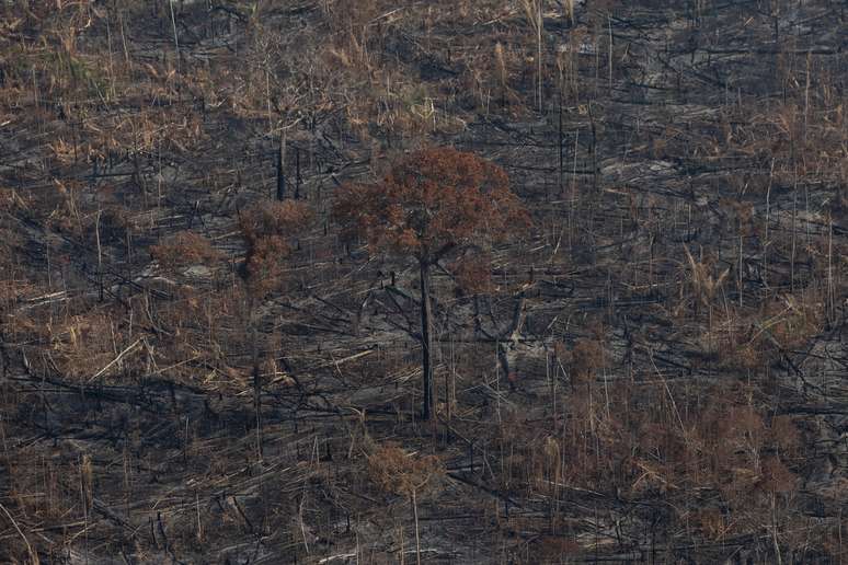 571 km² de floresta foram devastados apenas em Lábrea no período de 12 meses @Bruno Kelly/Greenpeace