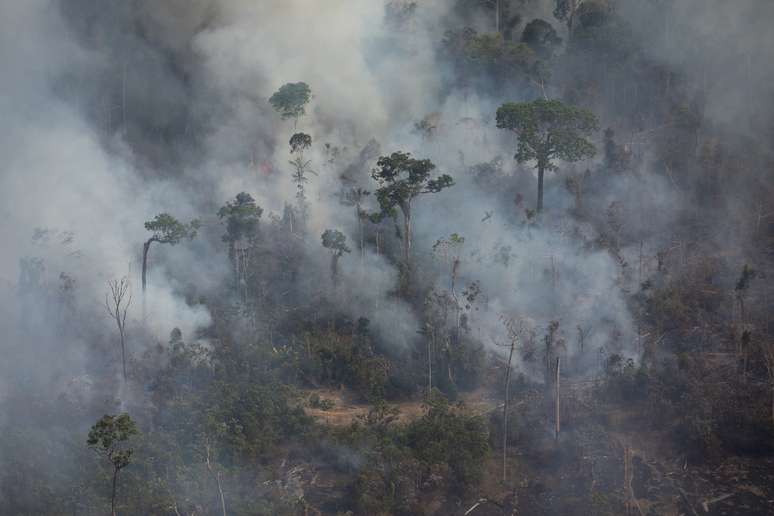 Crimes ambientais na região também impactam a vida de quem mora nas periferias de São Paulo @Bruno Kelly/Greenpeace