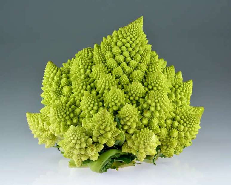 Um brócolis romanesco, que assume um formato pseudo-fractual, onde cada parte imita o todo de forma natural (Imagem: Ivar Leidus/CC-BY-S.A-4.0)