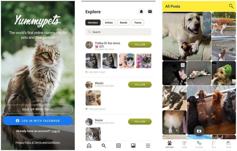 Yummypets é uma rede social dedicada a fotos de animais (Captura de tela: Rodrigo Folter)