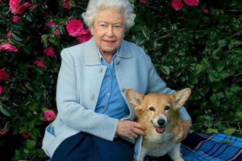 Rainha Elizabeth II ao lado de seu cachorro.