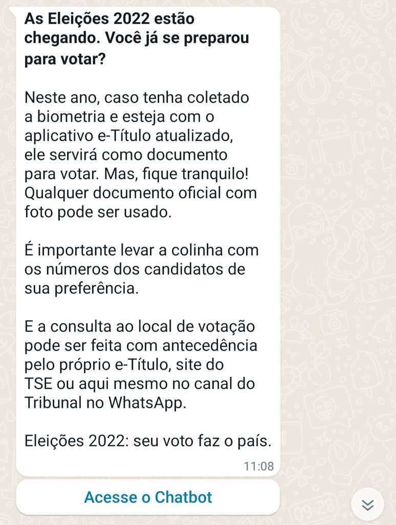 Bot do TSE no Zap é bom, mas capengou em horário de pico