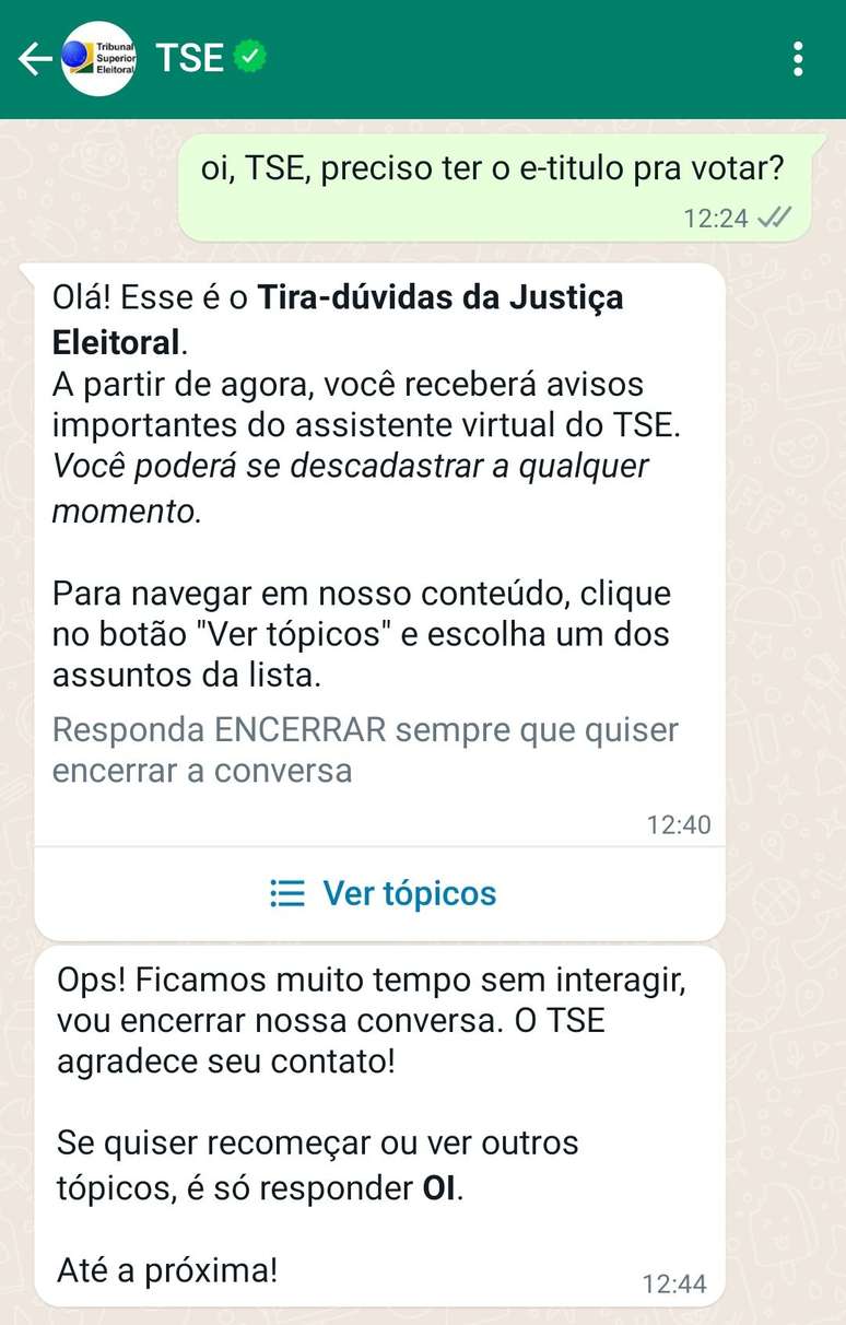 Bot do TSE no Zap é bom, mas capengou em horário de pico