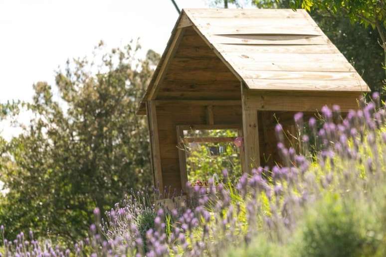 Op&ccedil;&atilde;o de hospedagem com trilhas nos arredores 