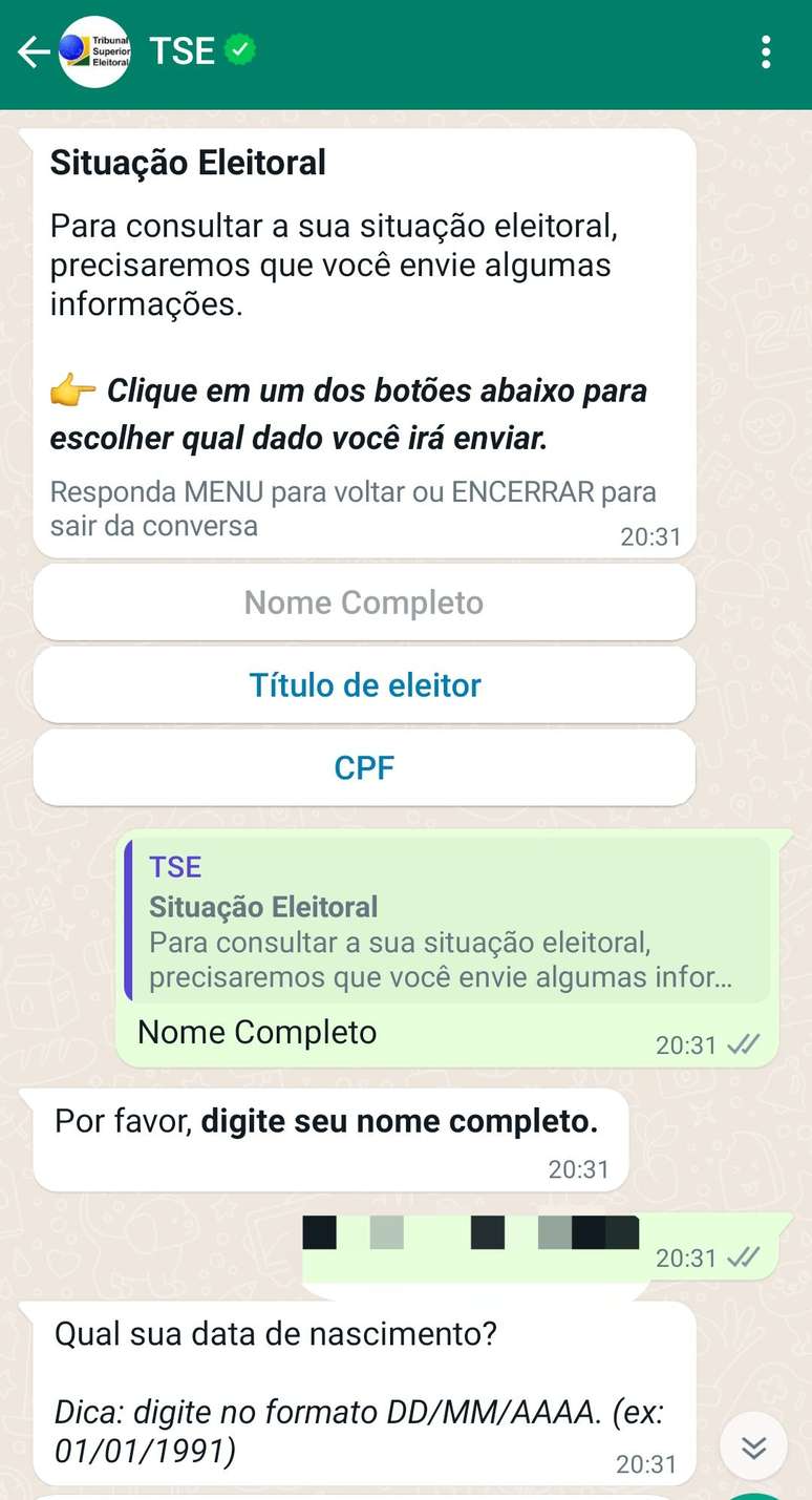 Bot do TSE no Zap é bom, mas capengou em horário de pico