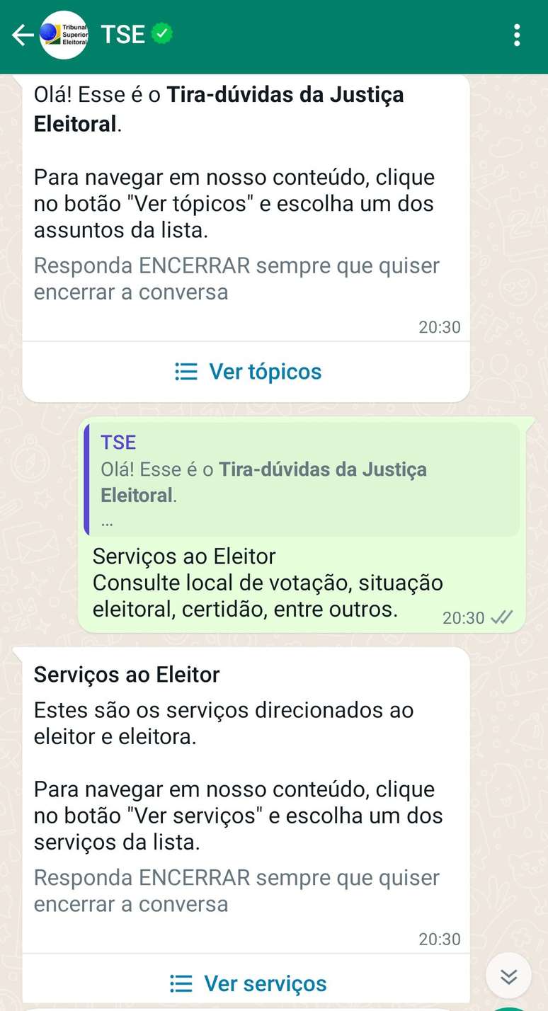 Bot do TSE no Zap é bom, mas capengou em horário de pico