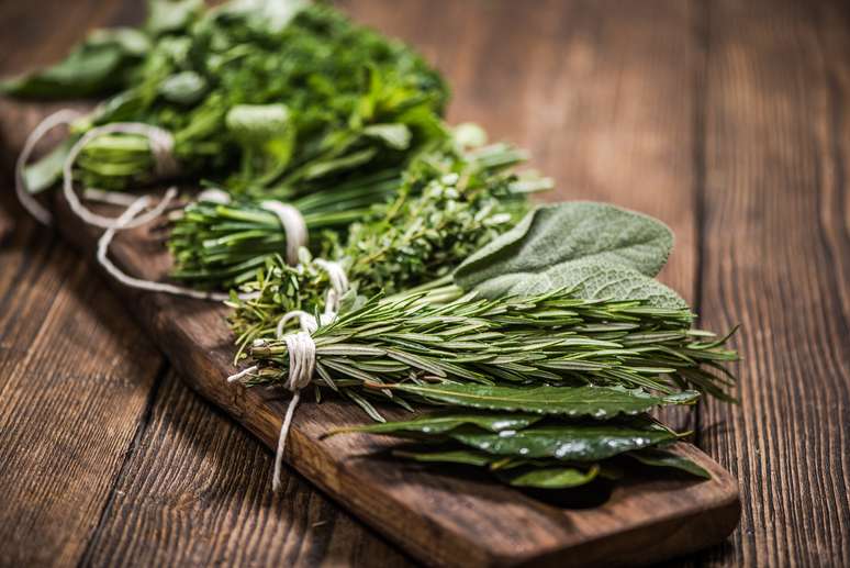 Use e abuse de temperos naturais na sua cozinha