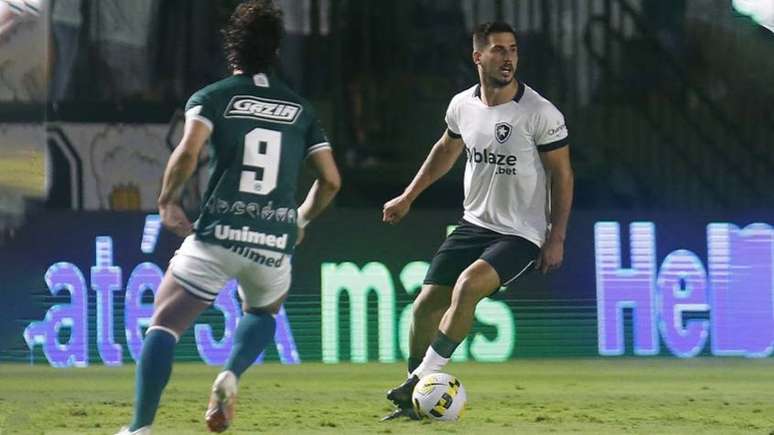 Botafogo venceu o Goiás pelo Brasileirão (Foto: Vitor Silva/Botafogo)