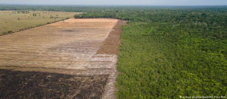 Em agosto de 2022, foi registrado aumento expressivo no desmatamento na Amazônia, com a segunda maior marca para o mês desde 2004