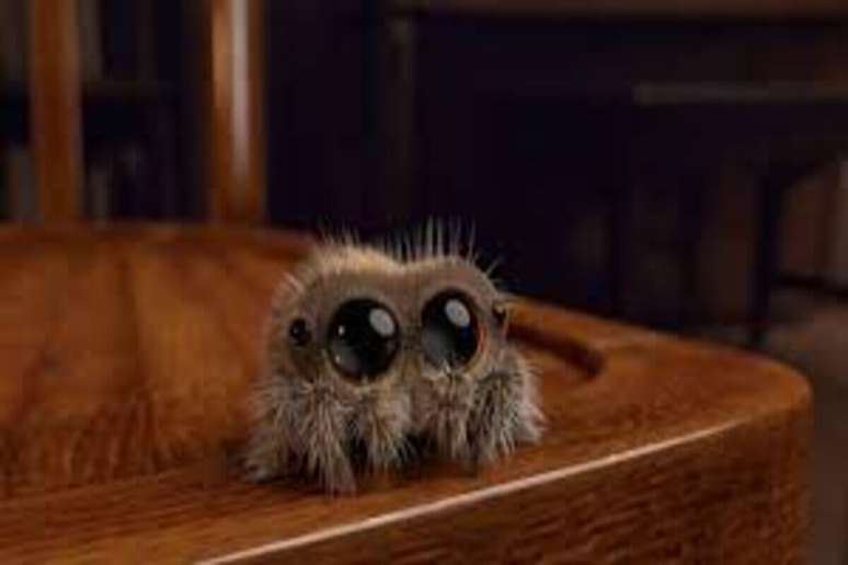 S&eacute;rie &ldquo;Lucas A Aranha&rdquo; 