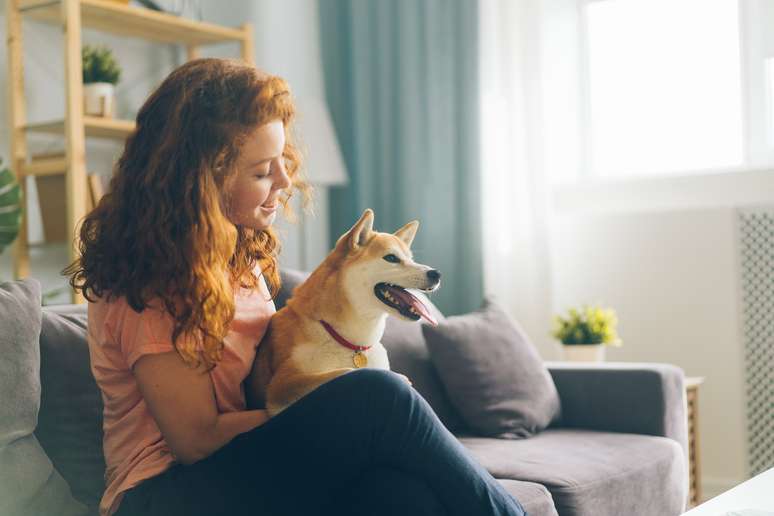 Pets podem ajudar na promoção do bem-estar, aliviando estresse e ansiedade