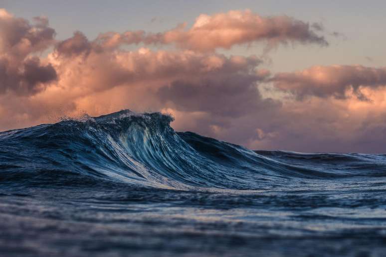 Para chegar nesses resultados, os pesquisadores estudaram 120 sedimentos oceânicos de todo o mundo