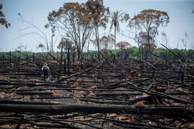 Volume de desmatamento registrado nos quatro anos da gestão Bolsonaro supera em 60% o volume verificado nos quatro anos anteriores, de 2015 a 2018.